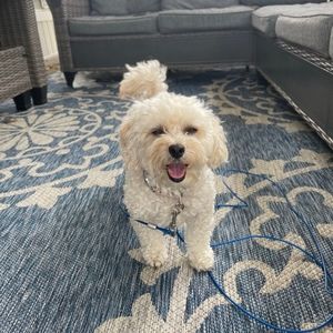 Meet your Posher, Nora